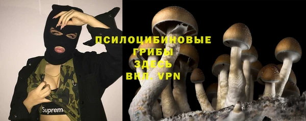 хмурый Покачи