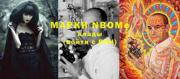 хмурый Покачи