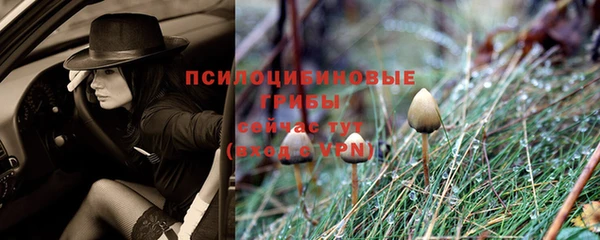прущая мука Покровск